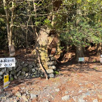 二本松コースで登ります。