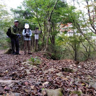 筑豊新道を上り詰めて上野越正面道に合流！。やったぞー！。