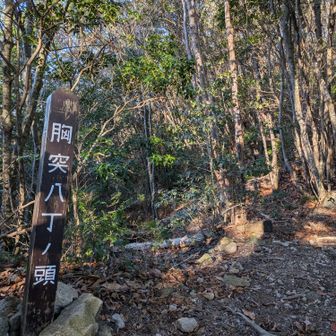 ここまでが一番ツラかった🥵