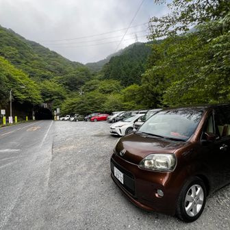 7:30 駐車場はボチボチ