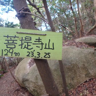 菩提寺山山頂