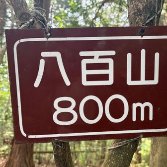 ヤマップの表示は７９９ｍだった
