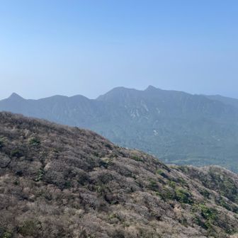天気よく、視界も広いが、今日は桜島の噴煙が流れてきていて、白く霞んで遠くが見えない😓