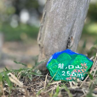山頂