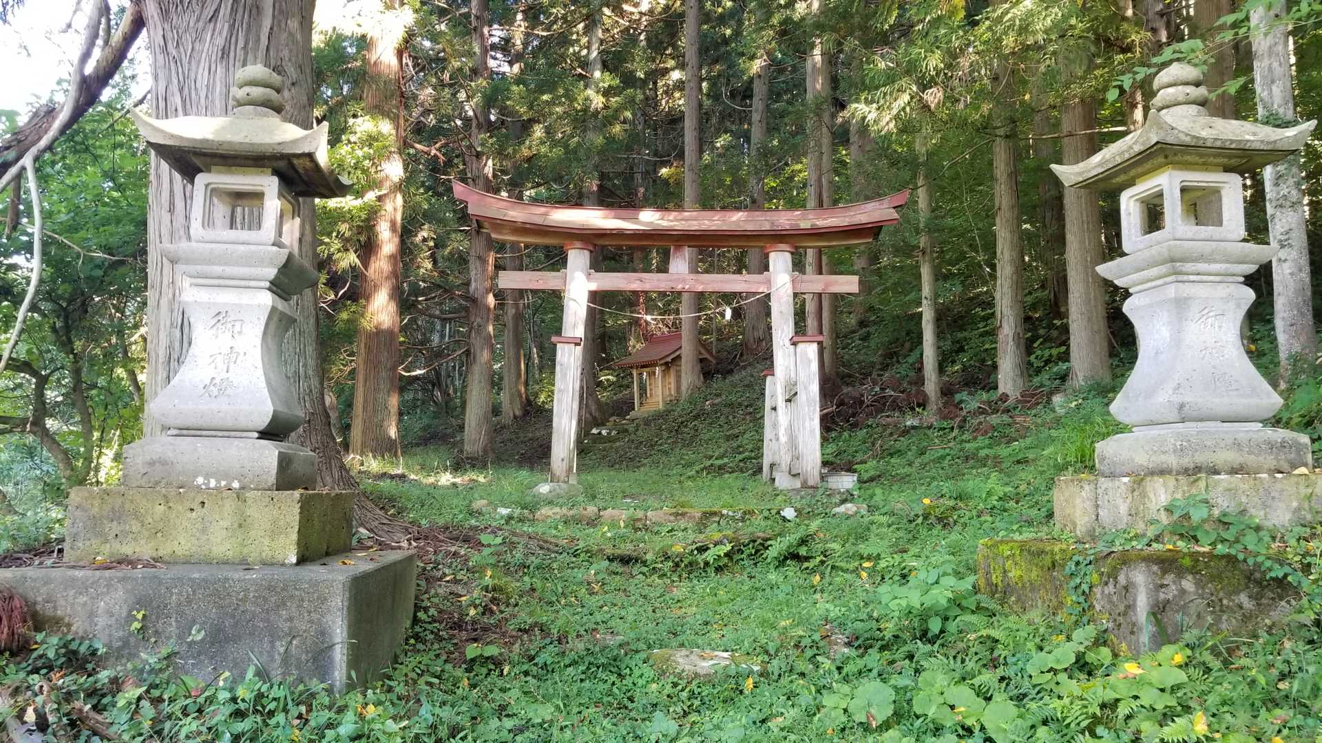 猪野沢登山道まで降りてきましたー