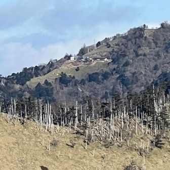 意気揚々と来たものの、帰りが辛い😓