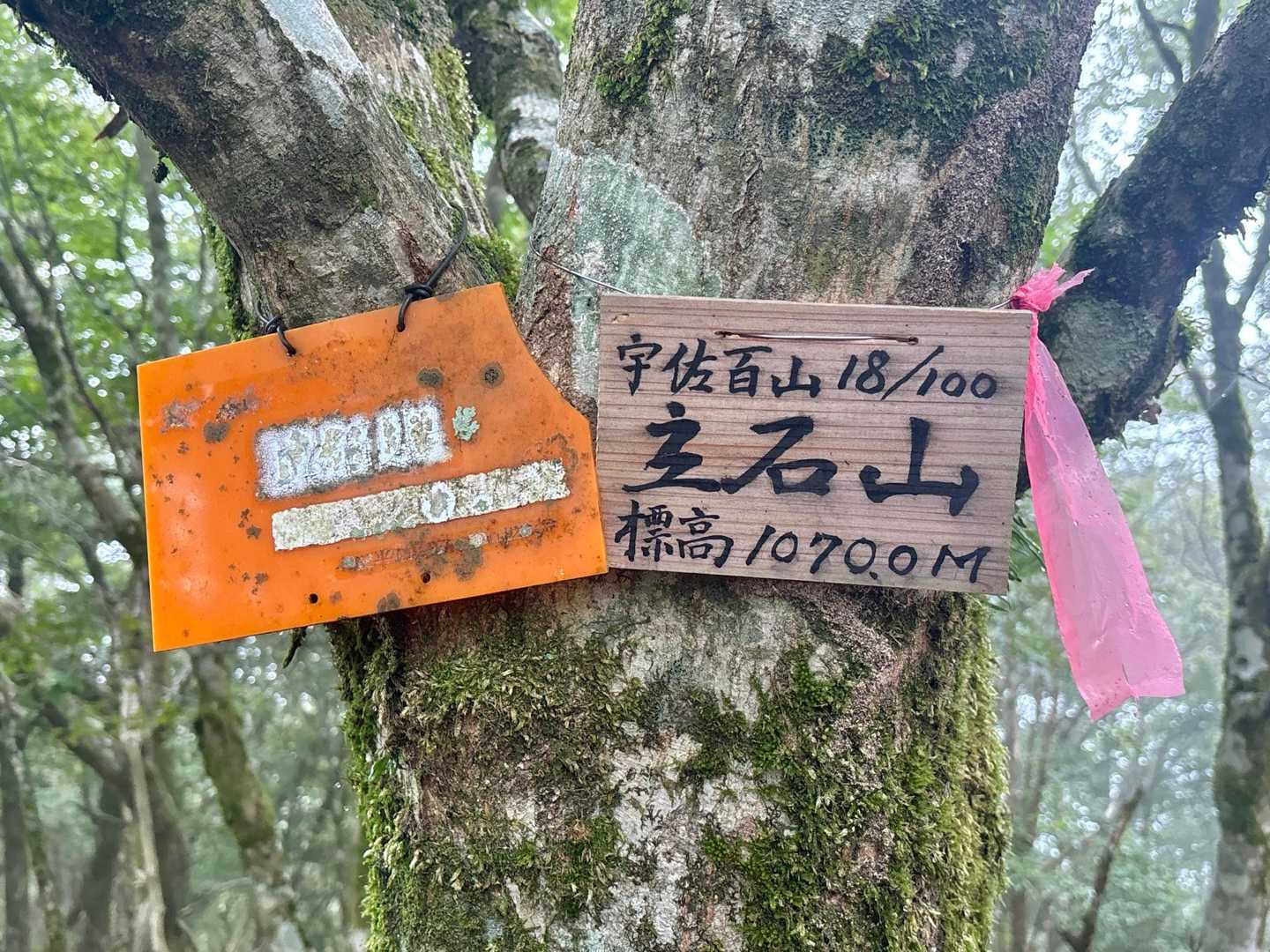 標識多め😂