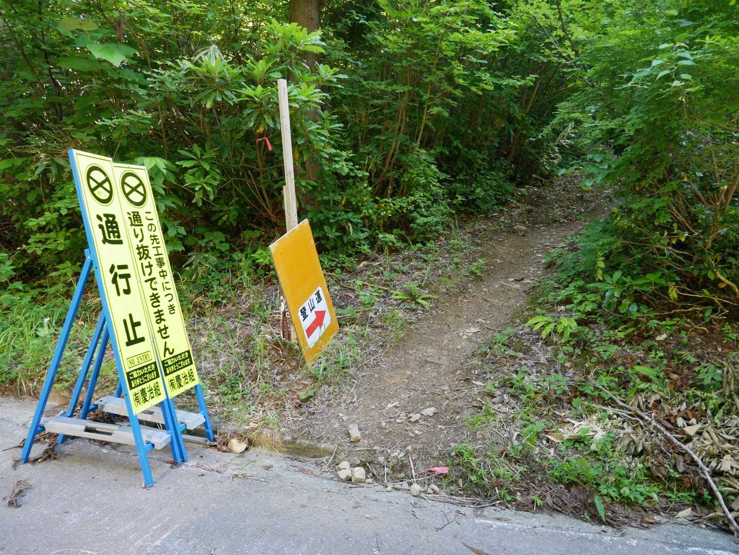 ここから林道を歩いて戻ります