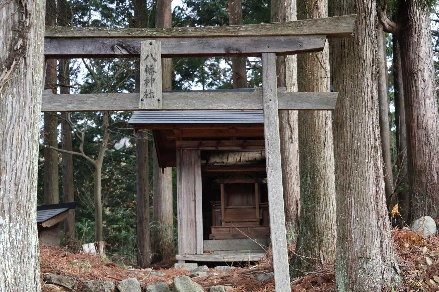 神社⛩️でお参り⛩👏😑