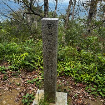 東峰の方が少し高い🤏