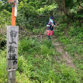やっと林道に出たよ