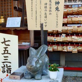 兎さんを撫でてご利益をいただけるそうです