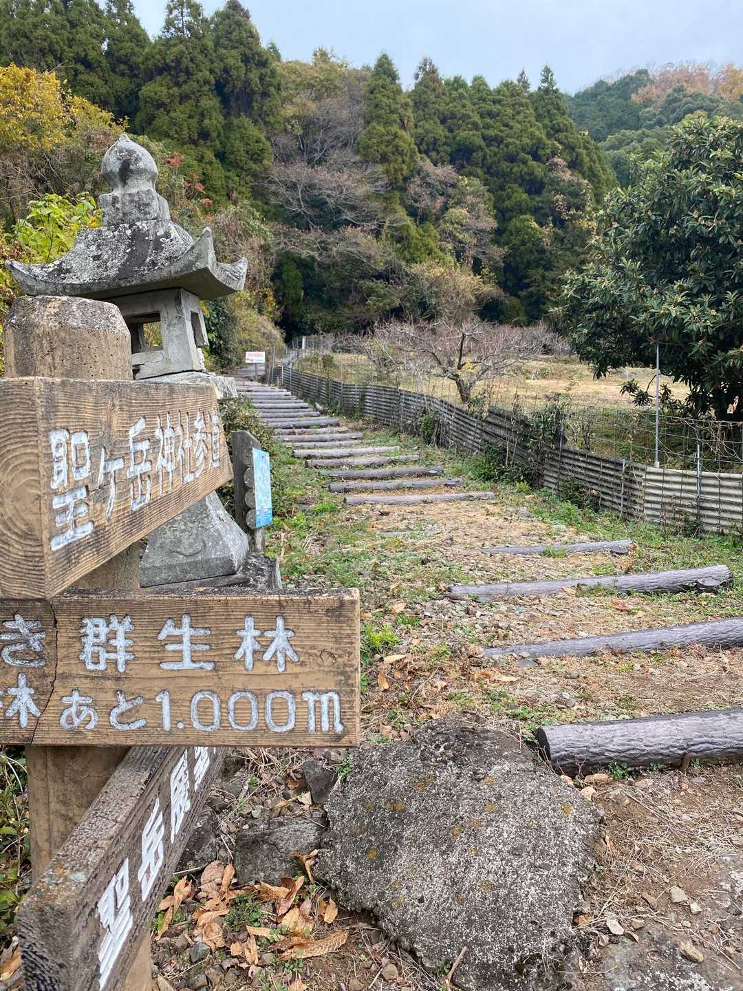 ここから〜　出発〜　‼︎
