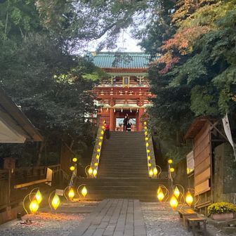 ライトアップが始まりました🤗