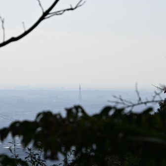 岩屋峠コース、PL塔