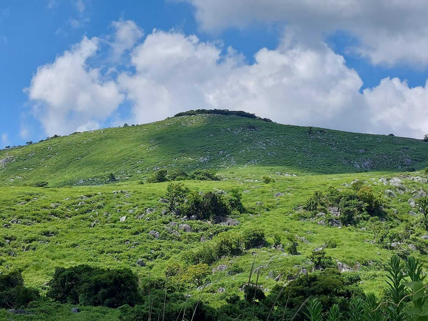 吹上峠-大平山-塔ヶ峯-塔ヶ峯取付-貫山-四方台-偽水晶山 縦走コースの写真