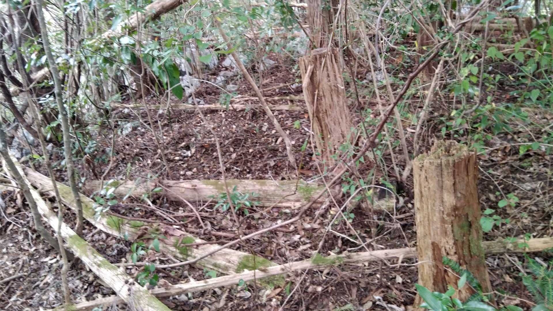 敷ノ山山頂　何もない