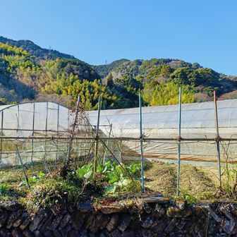 良い天気☀は続きます