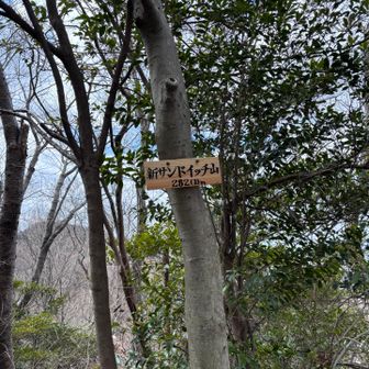 こちらは282(1)mで新サンドイッチ山やて⛰️
しかしYAMAPでは標高283m…
無理矢理やし間違ってるしどないやねん😂