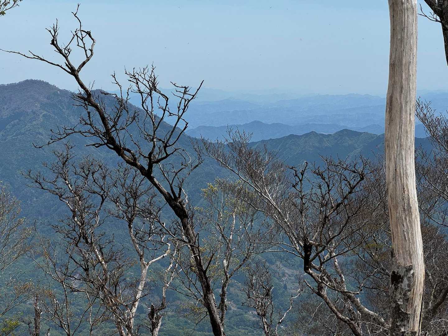 何山かは分かりませんが、ステキな峰々が連なっている⛰️
ホント遠くまで来たもんだ🤩