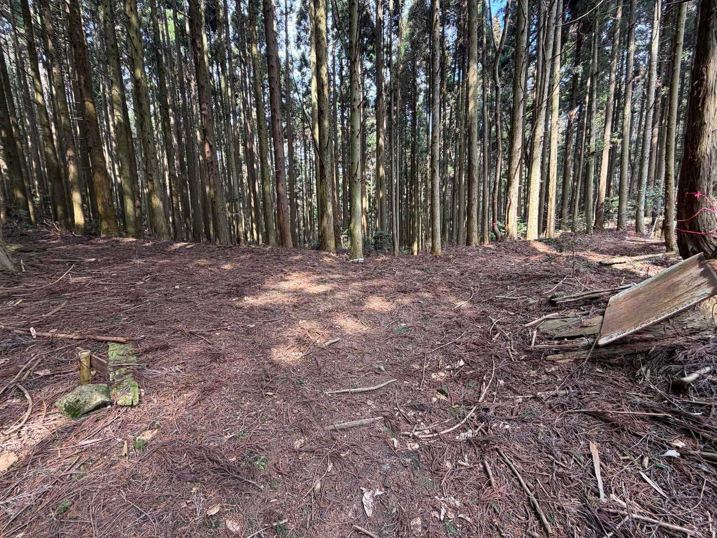分岐。右：カンノ木山。左：鷹ノ巣山。まずは👉️へ