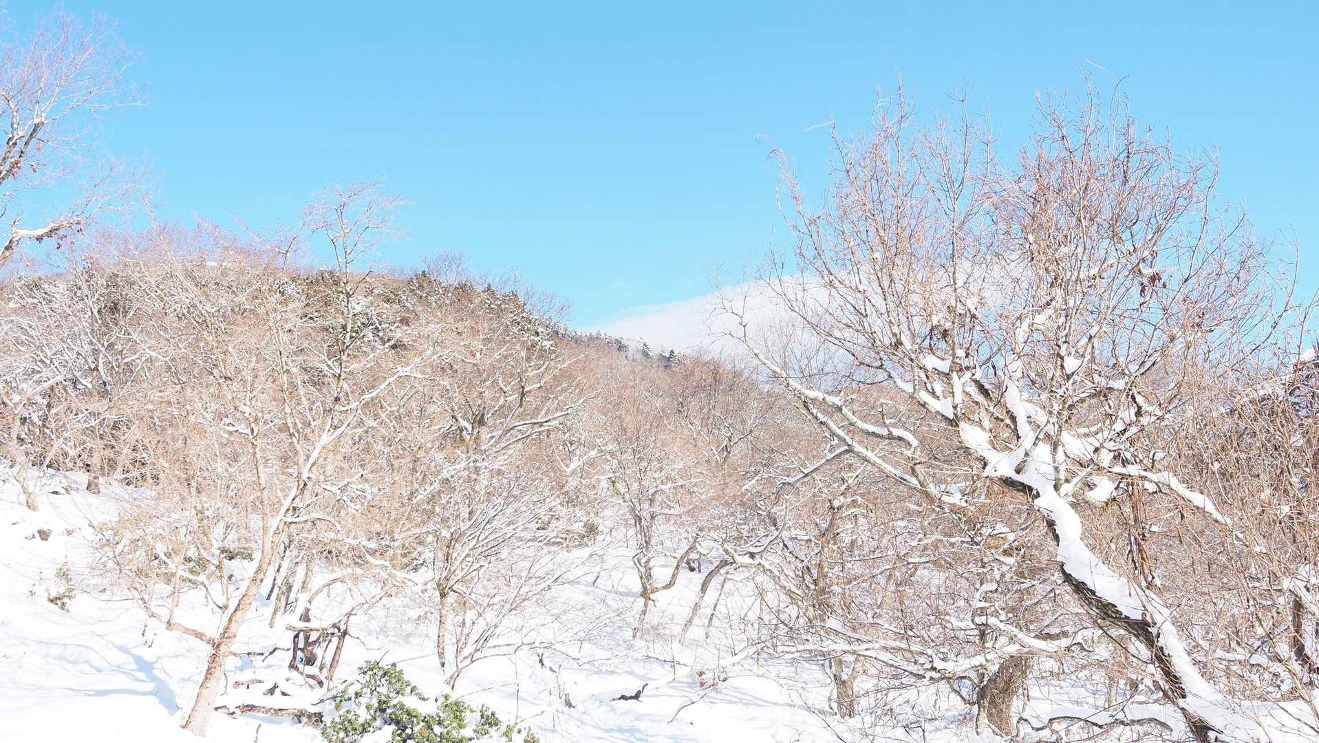 アイゼン穿いて
雪景色見ながらの山登
楽しいね♪