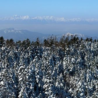 気温が高くやや霞んでしまっているが、真っ白な北アルプスも乗鞍岳〜鹿島槍ヶ岳あたりまでなら何とか見えた。雲一つない晴天で全アルプス、御嶽山、八ヶ岳、浅間山など、名だたる名山が一望できた