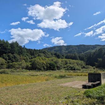 今日は1日中天気良さそう〜😚