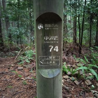 熊野古道 小辺路 中辺路オリエンテーリング