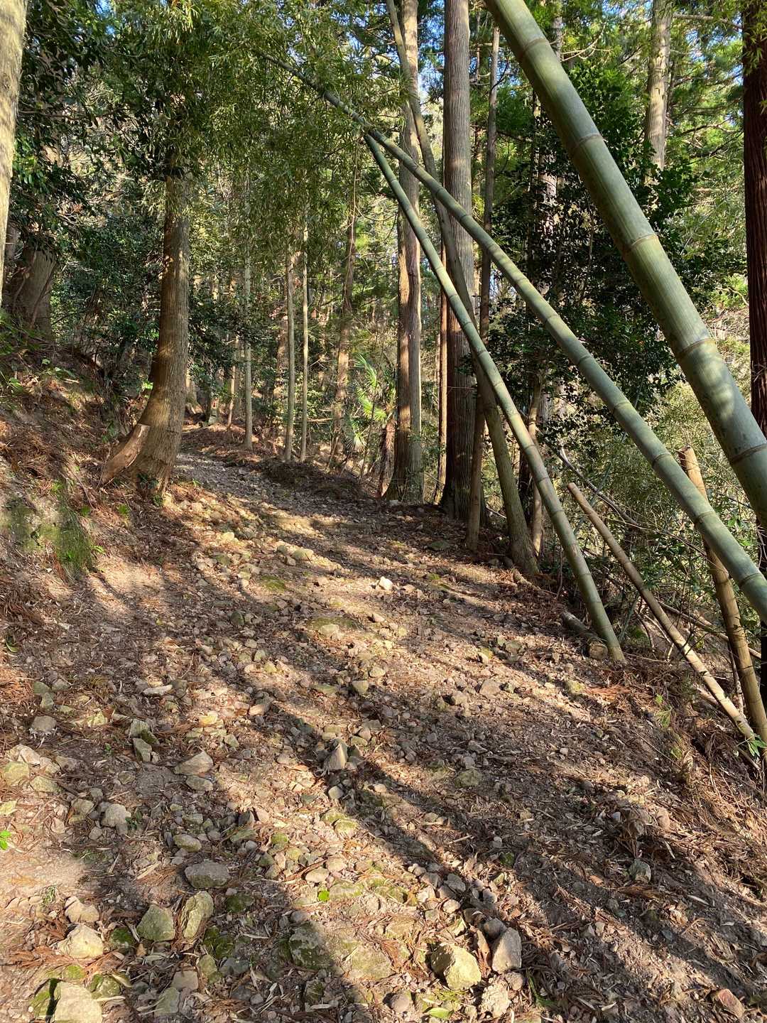 久斗山でエナジーを使い果たし足が上がらん💦
よちよち歩きで登ります😞