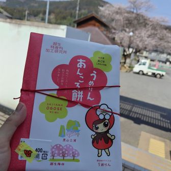 梅の時期が終わって、売れ残っていたようで、お安くゲットしました。。。