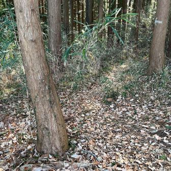 前はこちらから上がって
きたと見ていると👀

先程スライドして戻った
と思っていたトレラン🏃🏻の方が
奥さまとやって来ましたよ😊

途中で会った方だったので、親しみ
を感じて沢山話しかけちゃいました🙌☺️

山で余り人と会わない我が隊ですので、
山⛰️の話に付き合ってくださり
ありがとうございました🙇‍♀️
楽しい登山🥾になりました😊✨