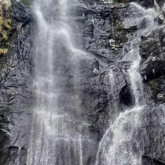 冷たいミスト浴びて見上げる