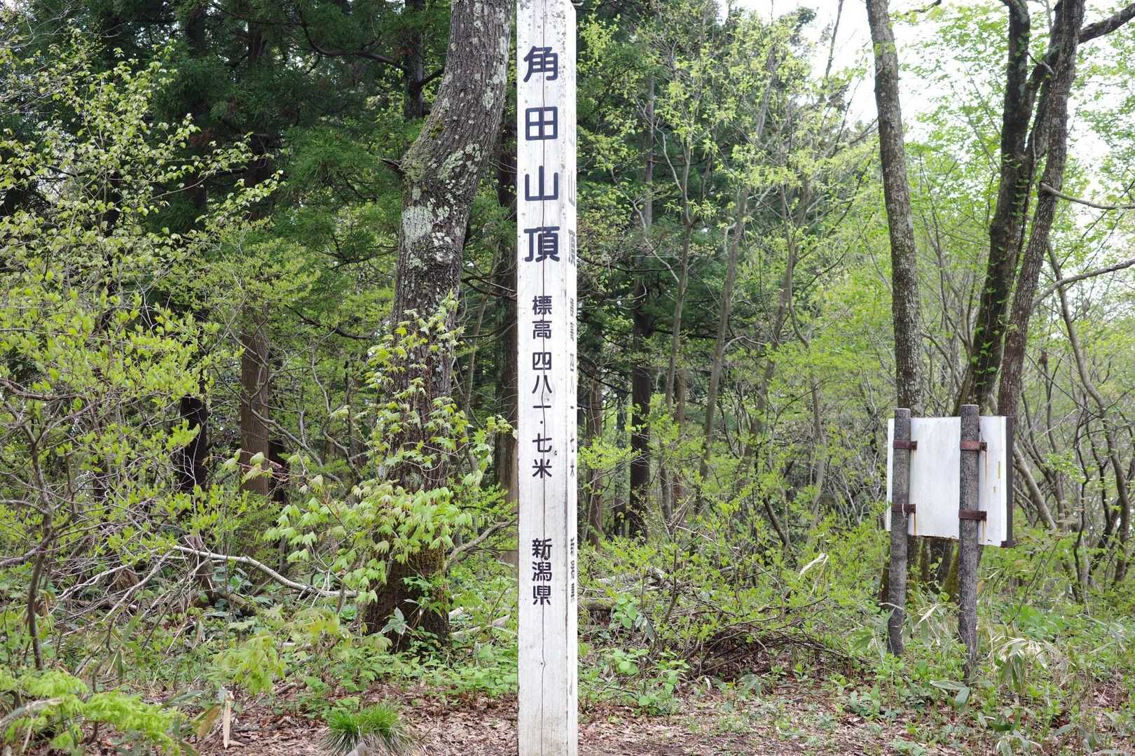 角田山（五りん石登山口）<五りん石コース>の写真