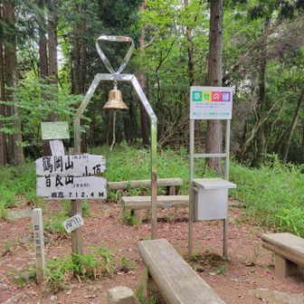 山頂までは駐車場から２０分未満😆