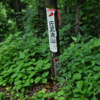 下降点