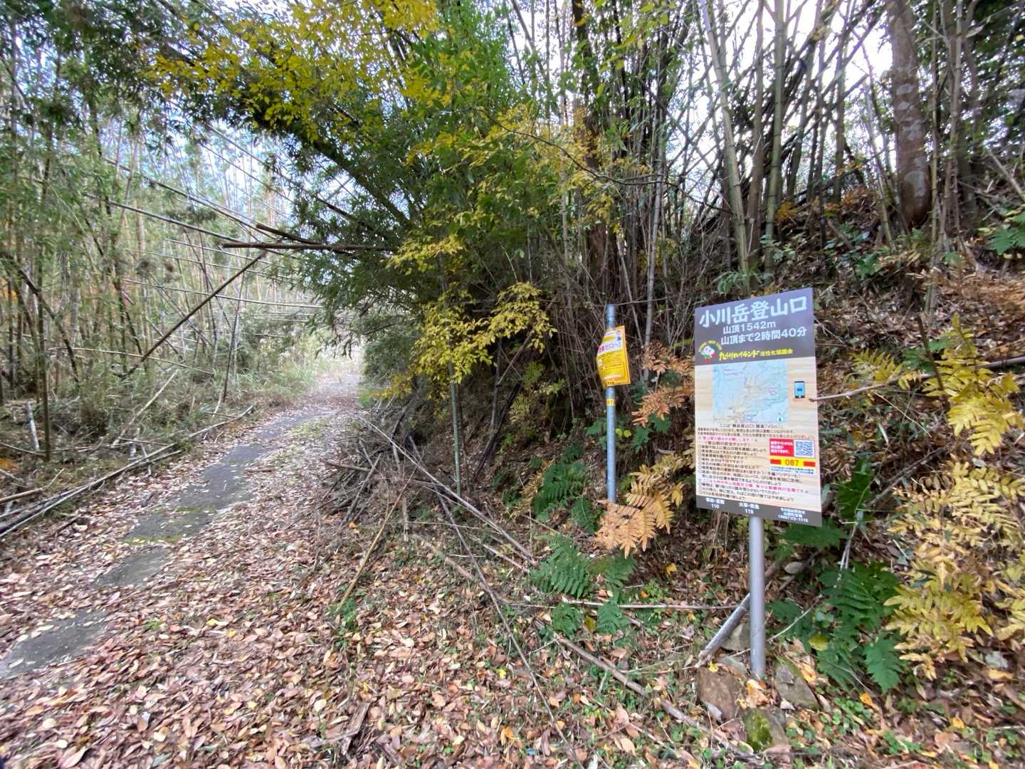 登山口ちゃく