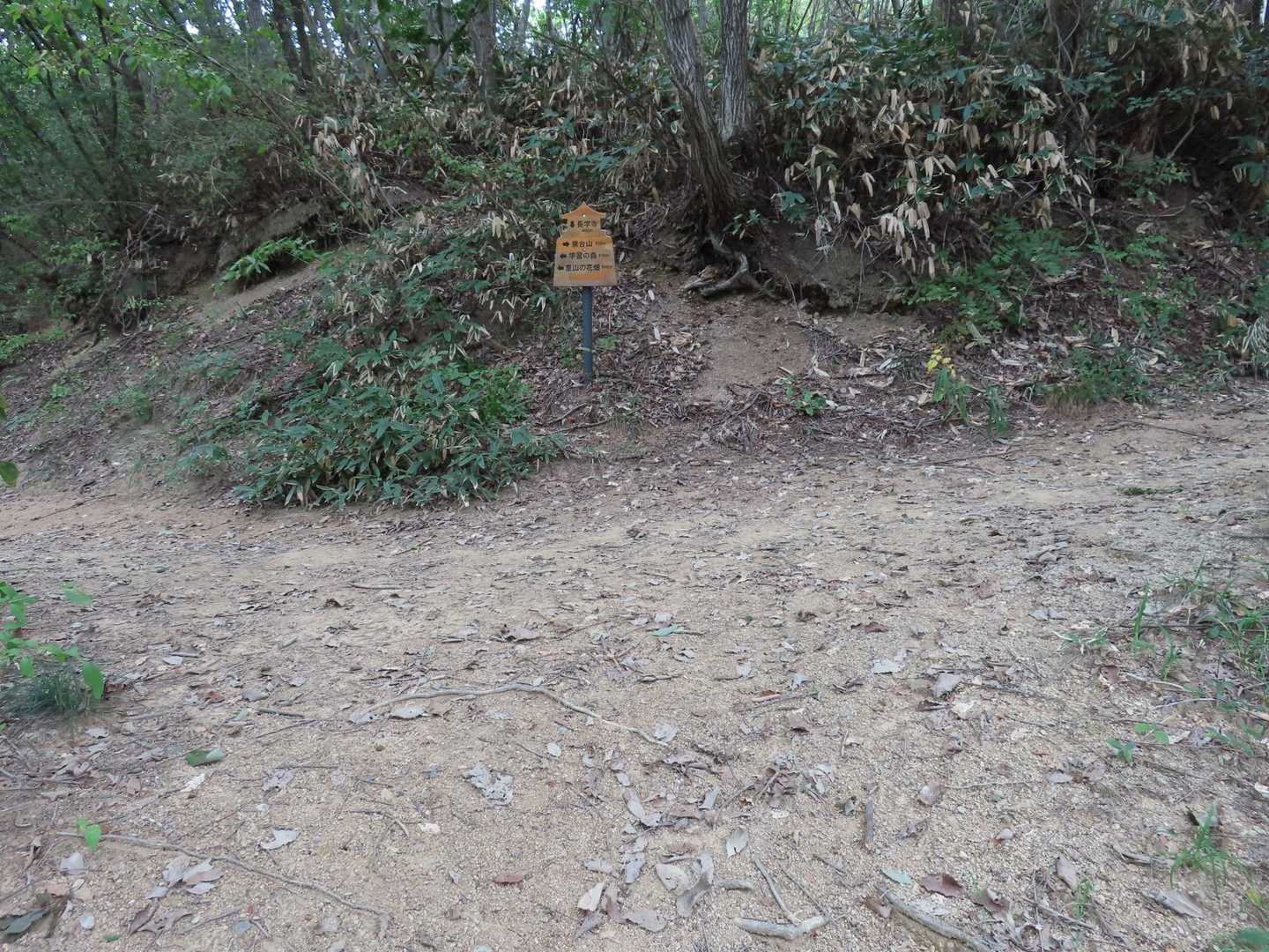 広い登山道に出ました。
どうやら私が登った登山道はショートカットのルートだったようです😅