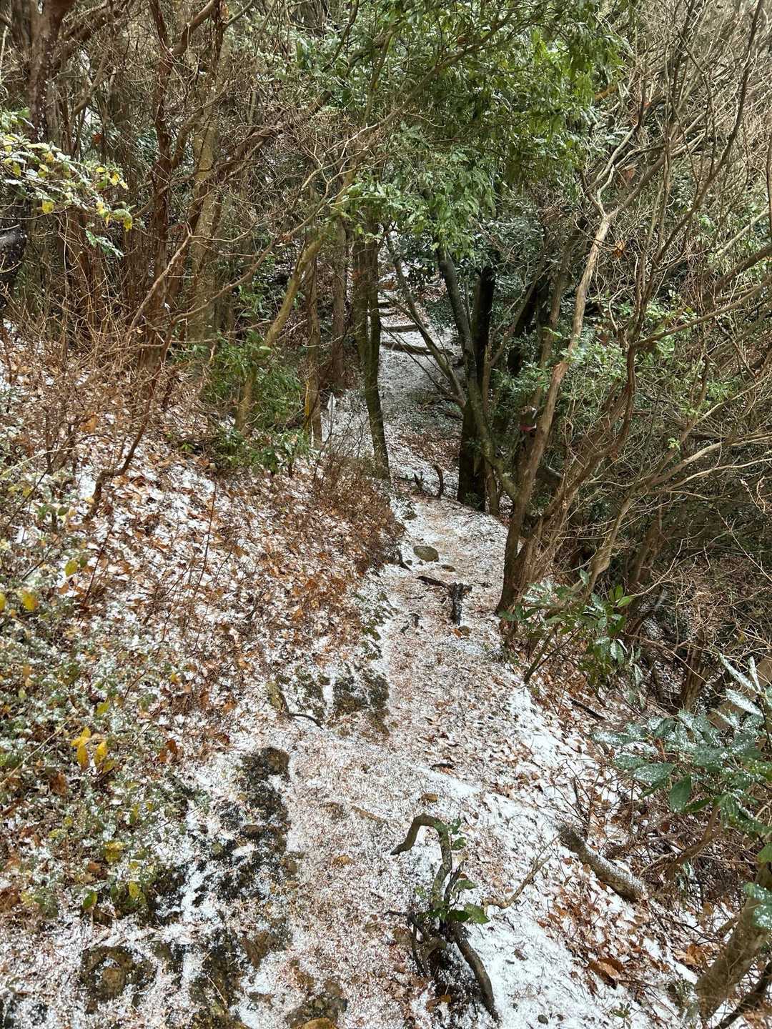 奥槇尾山 往復コースの写真