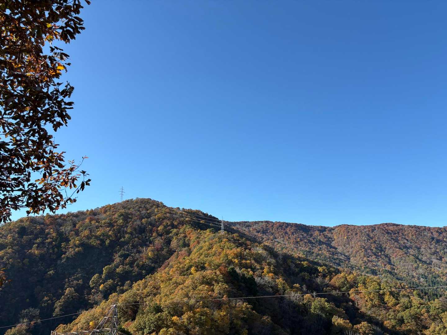 わぁ〜🍁
