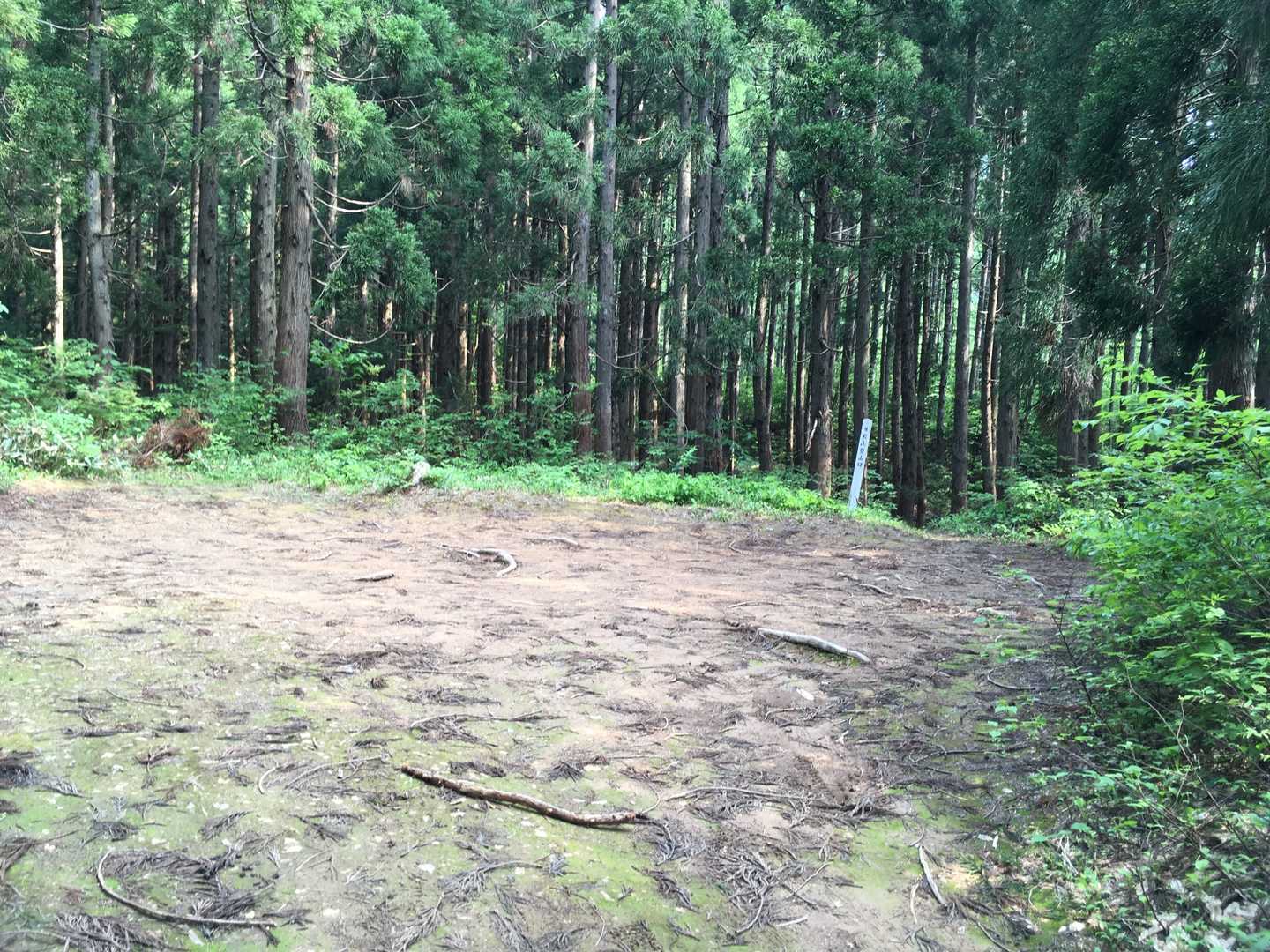 おほほほ～ぃ🤗。
ようやく登山口に到着。
ここまで約1時間20分😗。