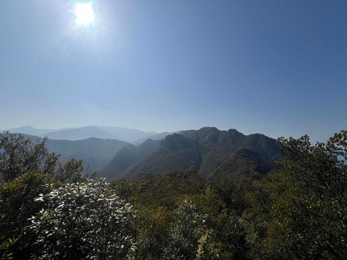 吉田山・吉田富士登山道入口-吉田山 往復コースの写真