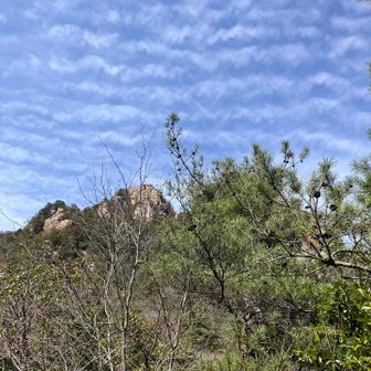 降りてきましたー
風もなく心地よい日和の中の山行、最高でした。