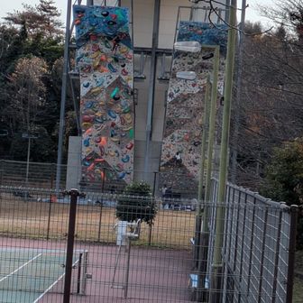ボルダリングウォール。亀山の岩でもロッククライミングされていたにゃ〜