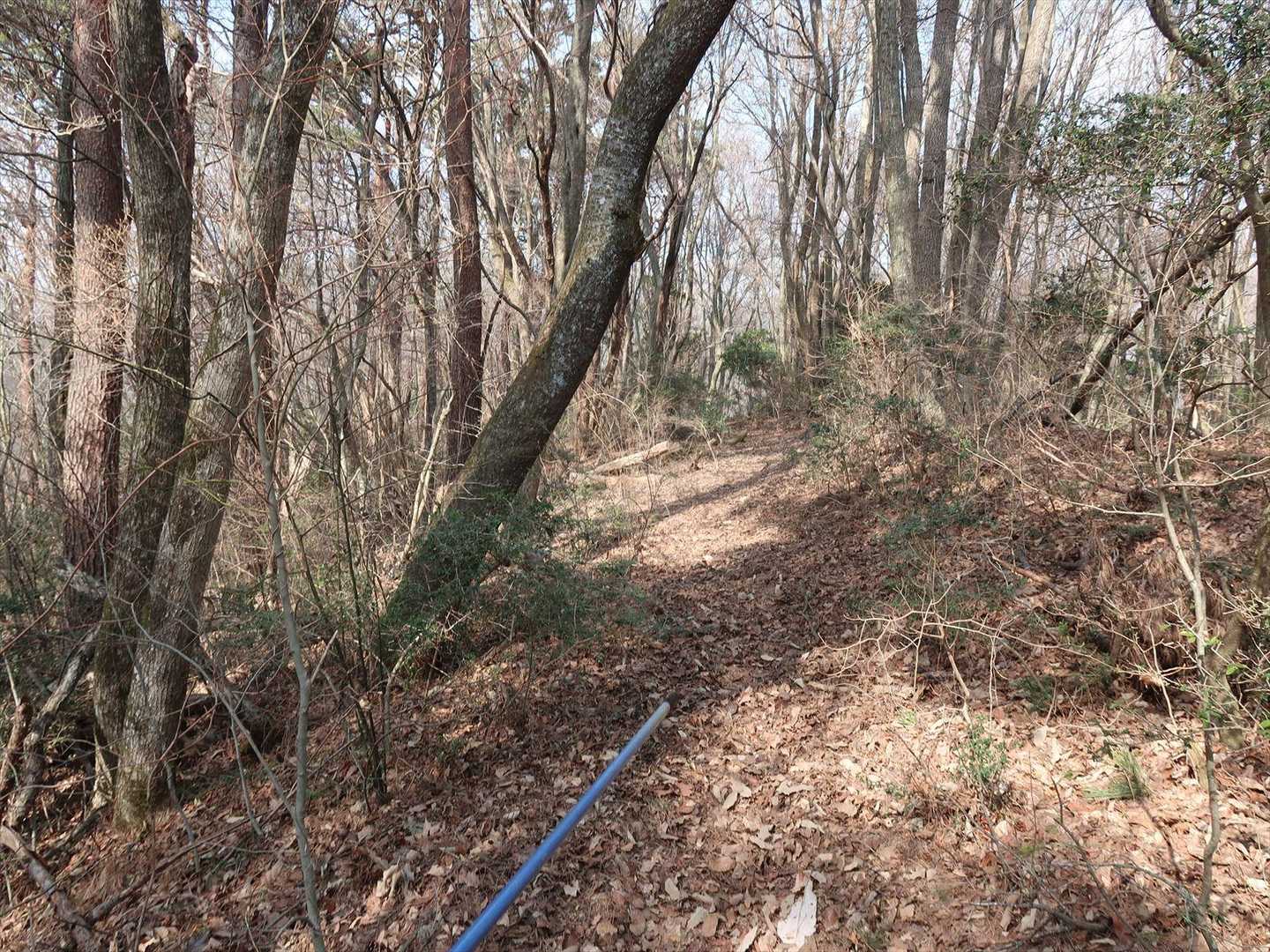 阿讃縦走路に出て、右手に向かって下ります
懐かしい縦走路です