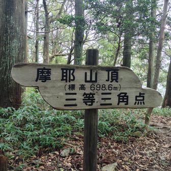 ピークハント⛰️