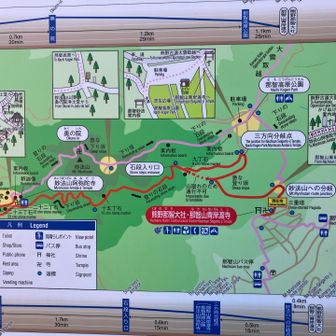 ココをぐる〜っと回る予定だったんだけど…

なーんかね…
こっから先は人気が全くなく、ちょっと淋しい感じたったから😅

予定変更〜🙌
那智高原公園にショートカットで向かい、お茶＆おやつして戻ってきちゃった😄