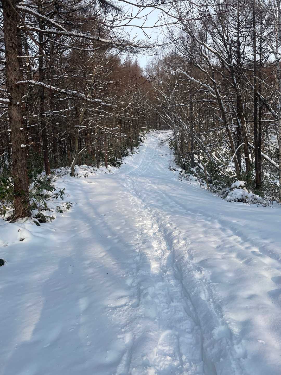 白旗山森林活用センター-月寒台-札幌台-白旗山 周回コースの写真