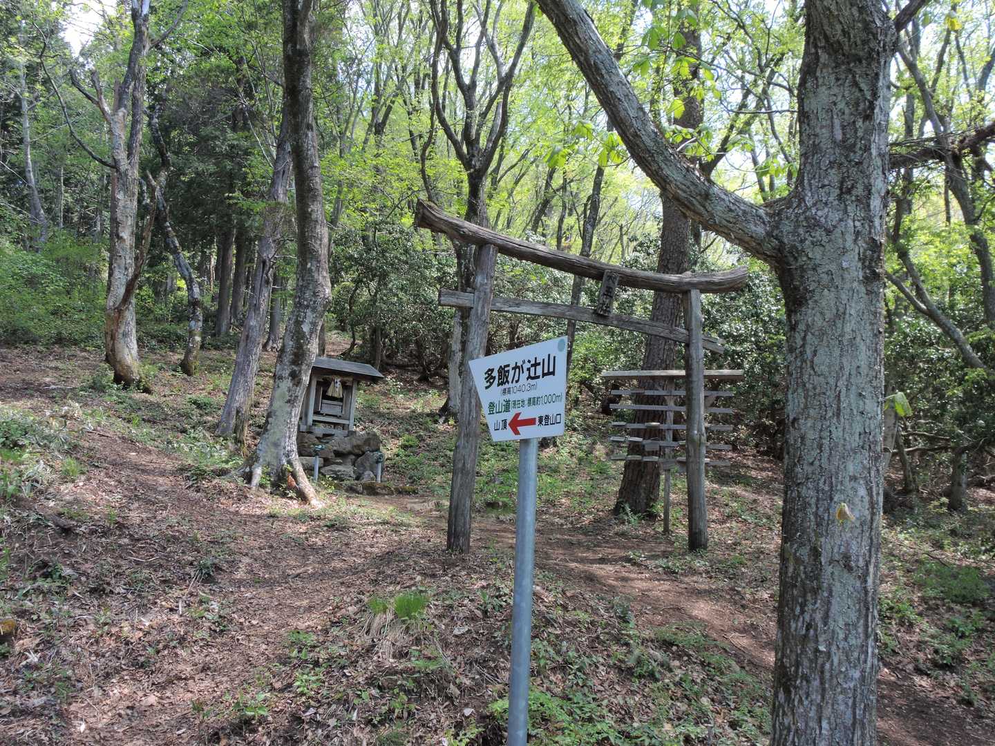 神社を過ぎると山頂まで緩い上りになります。😃💕