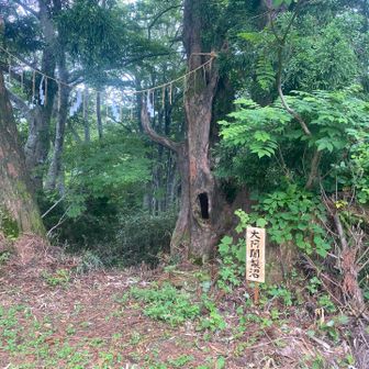 大阿闍梨沼　この看板は初めて確認しました